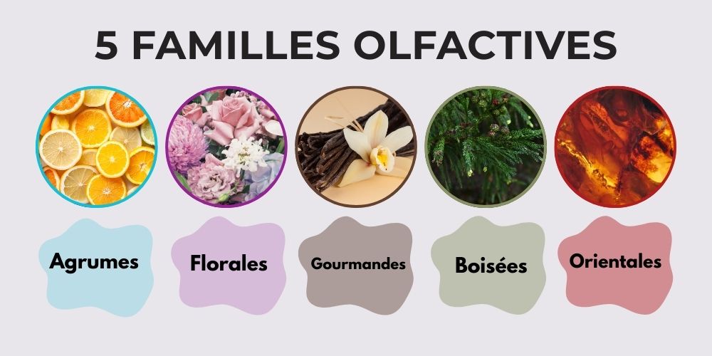 Les 5 familles olfactives : Agrumes bleu ciel, Florales rose, Gourmandes marron, Boisées vert, Orientales rouge. Chaque famille avec photo représentative et couleur distinctive.